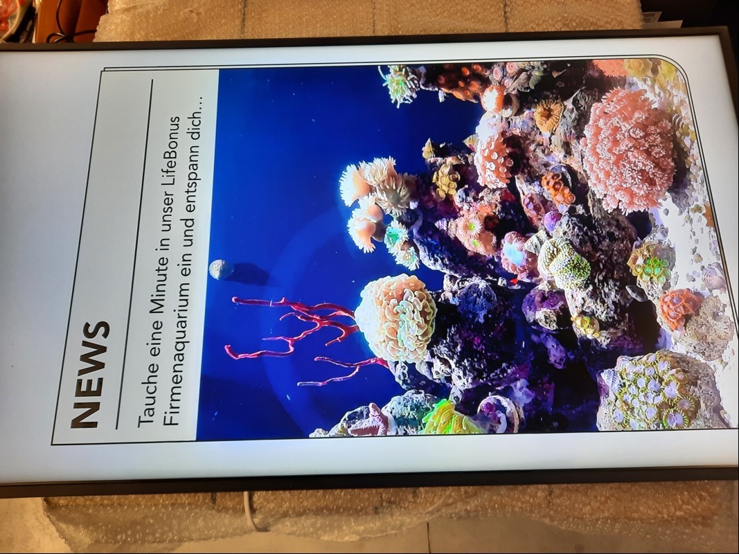 43''(108 cm) TFT-Display Samsung QM43R-A (Auflösung 3840 x 2160 4K UHD), TCO Unbekannt, 2x USB 2.0 Anschluss, weitere Anschlüsse: 2x HDMI, DisplayPort, HDMI Audio In, IR In, Audio Out, RS232C In/Out, Baujahr/Inbetriebnahme: 2022, Farbe: Schwarz, S...
