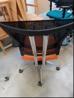 Artikel Bild